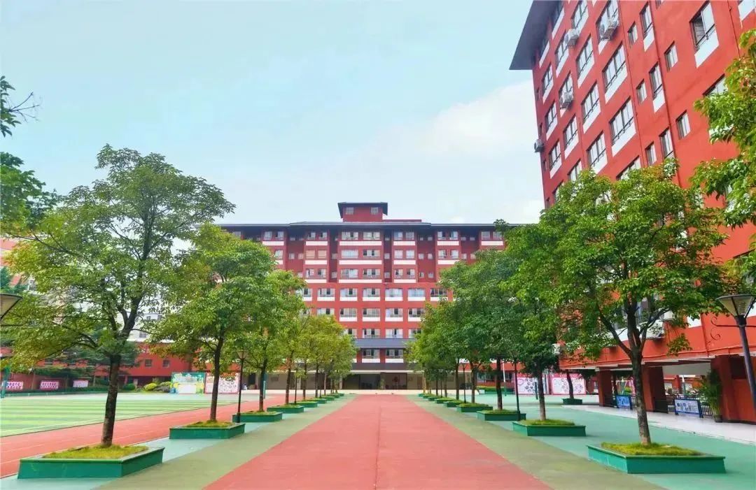 2025小升初：白云华赋近5年招生盘点