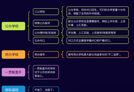 深度解析上海小升初：七大升学路径，揭秘‘三公’学校优势与高含金量